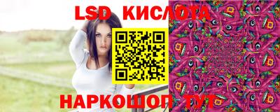 гидра Гай