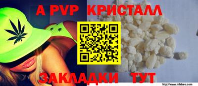 гидра Гай