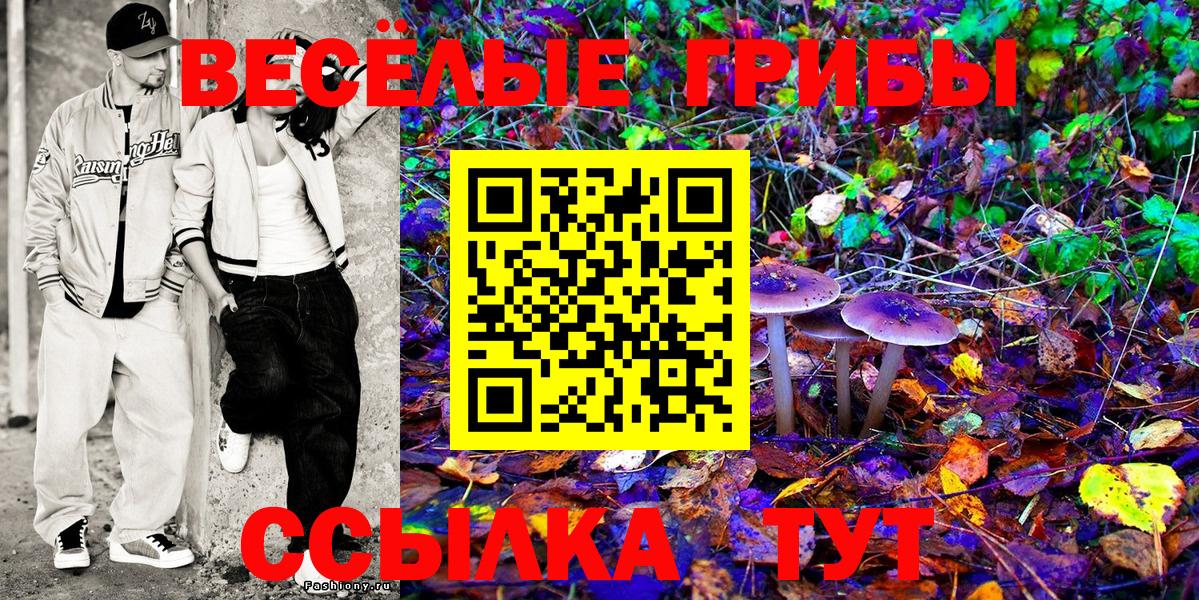 Псилоцибиновые грибы Psilocybe Менделеевск